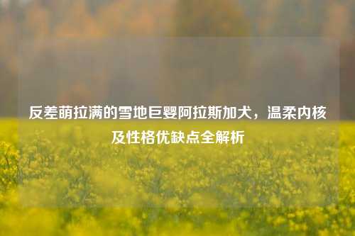 反差萌拉满的雪地巨婴阿拉斯加犬，温柔内核及性格优缺点全解析