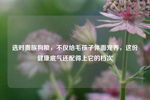 选对贵族狗粮，不仅给毛孩子体面宠养，这份健康底气还配得上它的档次