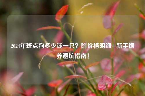 2024年斑点狗多少钱一只？附价格明细+新手饲养避坑指南！