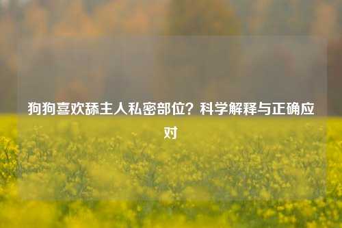 狗狗喜欢舔主人私密部位？科学解释与正确应对