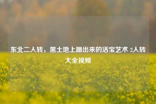 东北二人转，黑土地上蹦出来的活宝艺术 2人转大全视频