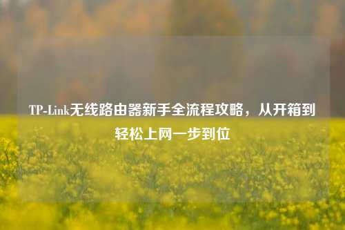 TP-Link无线路由器新手全流程攻略，从开箱到轻松上网一步到位