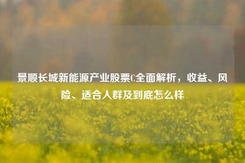 景顺长城新能源产业股票C全面解析，收益、风险、适合人群及到底怎么样