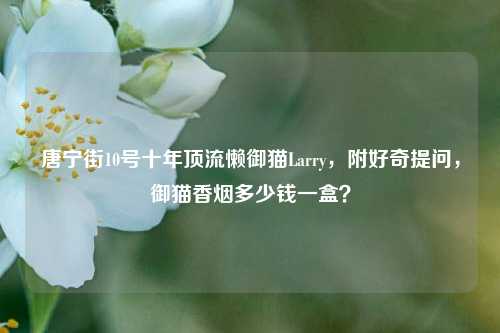 唐宁街10号十年顶流懒御猫Larry，附好奇提问，御猫香烟多少钱一盒？