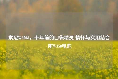 索尼W350d，十年前的口袋精灵 情怀与实用结合 附W350电池