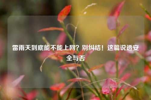 雷雨天到底能不能上网？别纠结！这篇说透安全与否