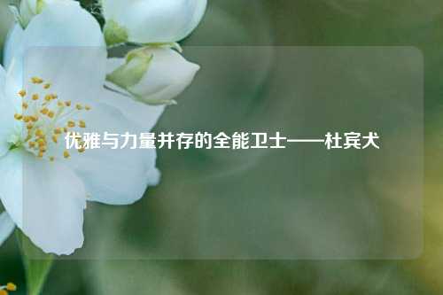 优雅与力量并存的全能卫士——杜宾犬