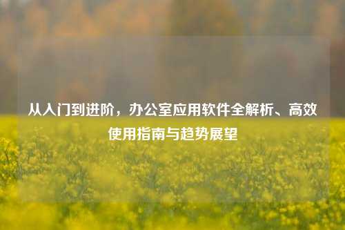 从入门到进阶，办公室应用软件全解析、高效使用指南与趋势展望
