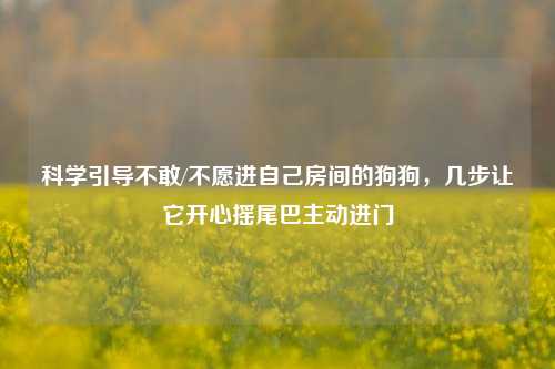 科学引导不敢/不愿进自己房间的狗狗，几步让它开心摇尾巴主动进门