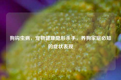 狗钩虫病，宠物健康隐形杀手，养狗家庭必知的症状表现