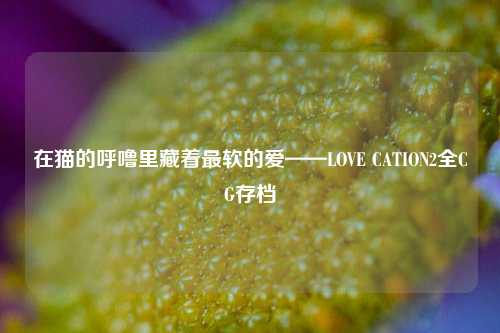 在猫的呼噜里藏着最软的爱——LOVE CATION2全CG存档