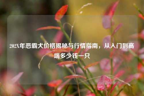 202X年恶霸犬价格揭秘与行情指南，从入门到高端多少钱一只