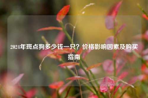 2024年斑点狗多少钱一只？价格影响因素及购买指南