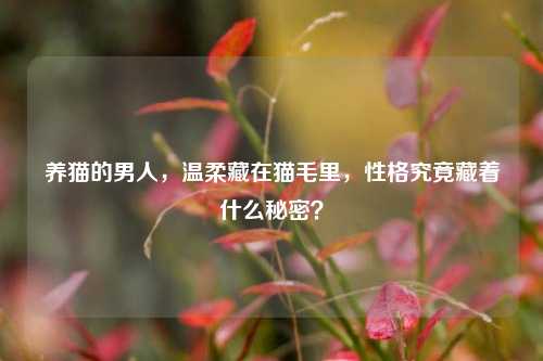 养猫的男人，温柔藏在猫毛里，性格究竟藏着什么秘密？
