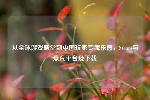 从全球游戏殿堂到中国玩家专属乐园，Steam与蒸汽平台及下载