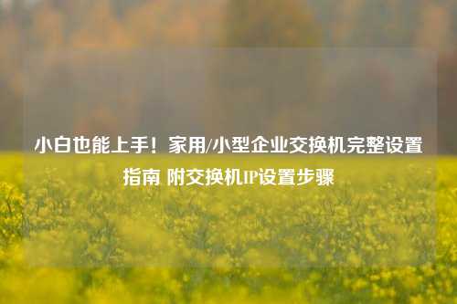 小白也能上手!家用/小型企业交换机完整设置指南 附交换机IP设置步骤