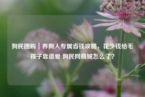 狗民团购｜养狗人专属省钱攻略，花少钱给毛孩子靠谱爱 狗民网商城怎么了？