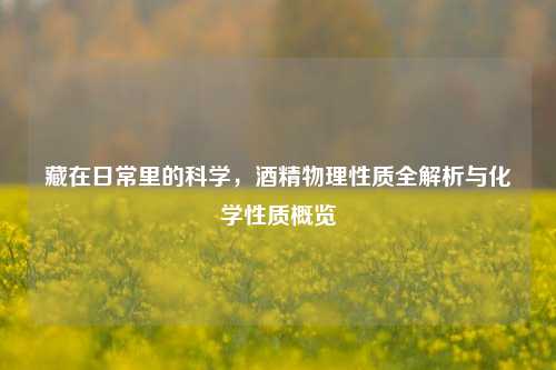 藏在日常里的科学，酒精物理性质全解析与化学性质概览