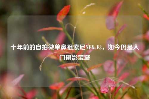 十年前的自拍微单鼻祖索尼NEX-F3，如今仍是入门摄影宝藏