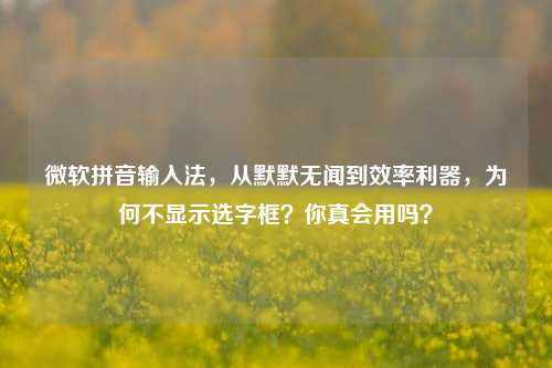 微软拼音输入法，从默默无闻到效率利器，为何不显示选字框？你真会用吗？