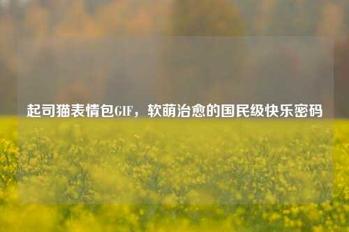 起司猫表情包GIF，软萌治愈的国民级快乐密码