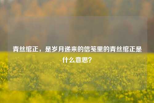 青丝绾正，是岁月递来的信笺里的青丝绾正是什么意思？