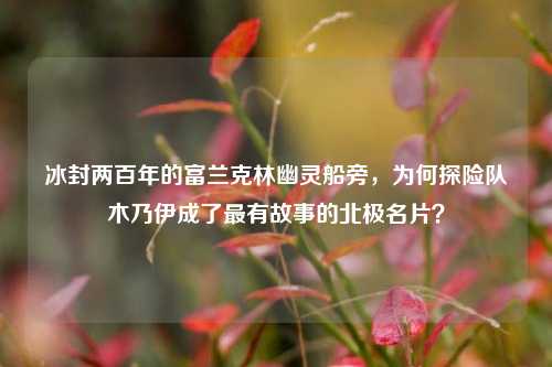冰封两百年的富兰克林幽灵船旁，为何探险队木乃伊成了最有故事的北极名片？