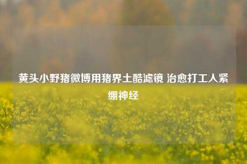 黄头小野猪微博用猪界土酷滤镜 治愈打工人紧绷神经