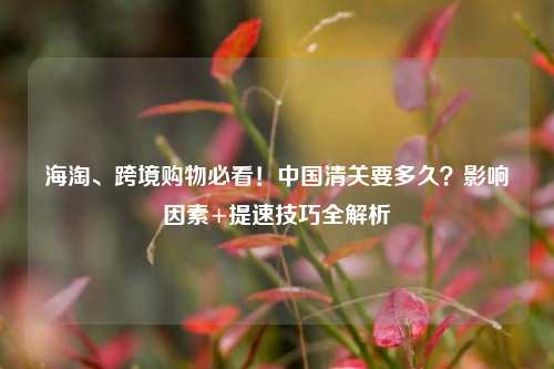 海淘、跨境购物必看!中国清关要多久?影响因素+提速技巧全解析