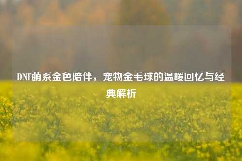 DNF萌系金色陪伴，宠物金毛球的温暖回忆与经典解析