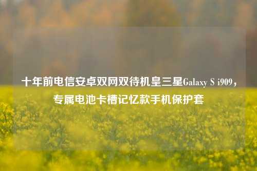 十年前电信安卓双网双待机皇三星Galaxy S i909，专属电池卡槽记忆款手机保护套