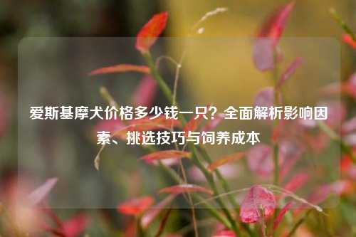 爱斯基摩犬价格多少钱一只？全面解析影响因素、挑选技巧与饲养成本