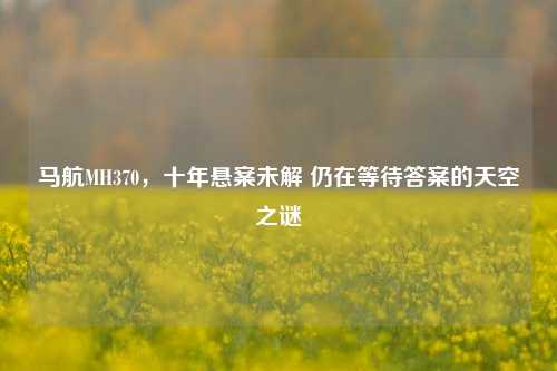 马航MH370，十年悬案未解 仍在等待答案的天空之谜