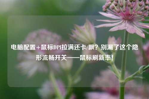 电脑配置+鼠标DPI拉满还卡/飘？别漏了这个隐形流畅开关——鼠标刷新率！