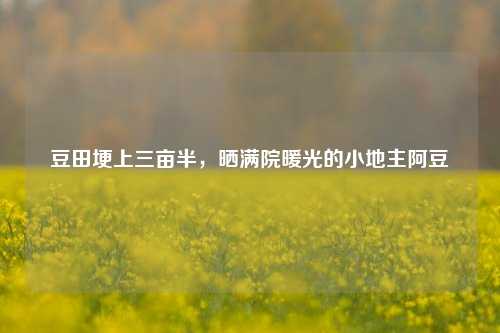 豆田埂上三亩半，晒满院暖光的小地主阿豆