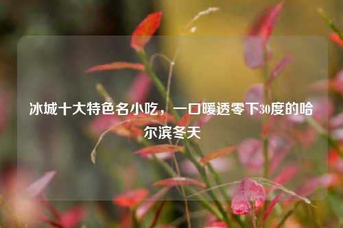 冰城十大特色名小吃，一口暖透零下30度的哈尔滨冬天