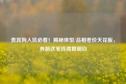 贵宾狗入坑必看！揭秘体型/品相差价天花板，养前这笔钱得算明白