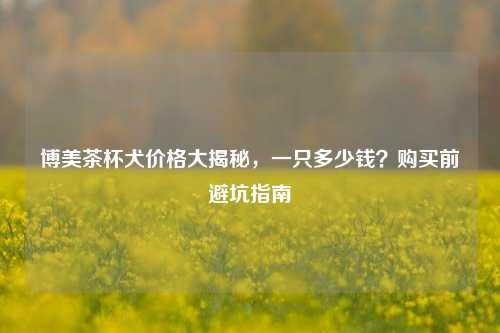 博美茶杯犬价格大揭秘，一只多少钱？购买前避坑指南