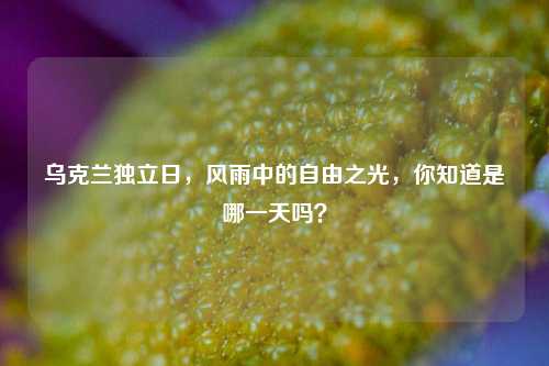 乌克兰独立日，风雨中的自由之光，你知道是哪一天吗？