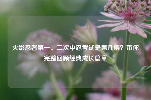 火影忍者第一、二次中忍考试是第几集?带你完整回顾经典成长篇章