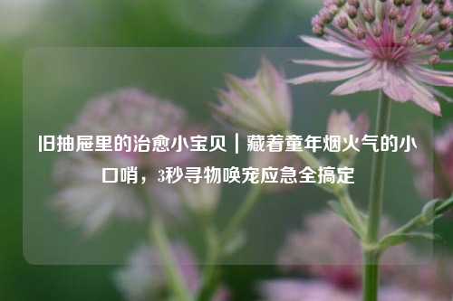 旧抽屉里的治愈小宝贝｜藏着童年烟火气的小口哨，3秒寻物唤宠应急全搞定