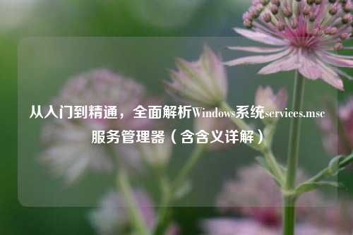 从入门到精通，全面解析Windows系统services.msc服务管理器（含含义详解）