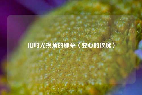 旧时光拐角的那朵〈变心的玫瑰〉