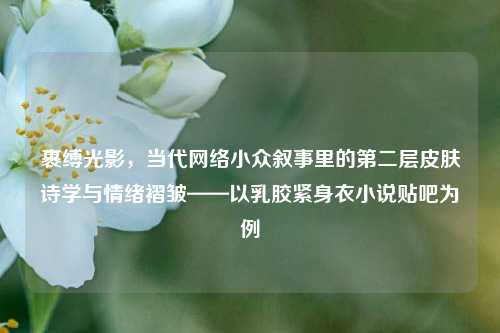 裹缚光影，当代网络小众叙事里的第二层皮肤诗学与情绪褶皱——以乳胶紧身衣小说贴吧为例
