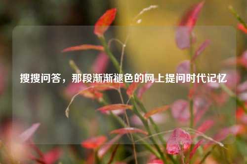 搜搜问答，那段渐渐褪色的网上提问时代记忆
