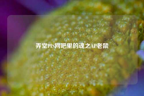 弄堂PIS网吧里的魂之AP老鼠