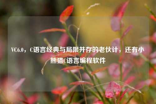 VC6.0,C语言经典与局限并存的老伙计,还有小熊猫C语言编程软件