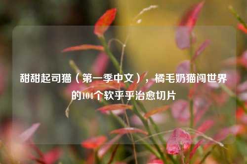 甜甜起司猫（第一季中文），橘毛奶猫闯世界的104个软乎乎治愈切片