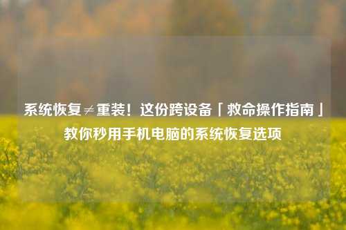 系统恢复≠重装！这份跨设备「救命操作指南」教你秒用手机电脑的系统恢复选项