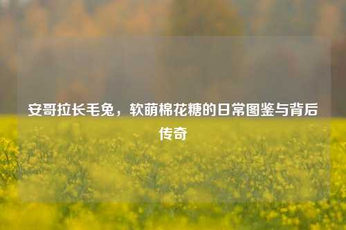 安哥拉长毛兔，软萌棉花糖的日常图鉴与背后传奇